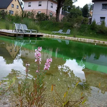 Apartment Bochmann Schneeberg (Saxony)